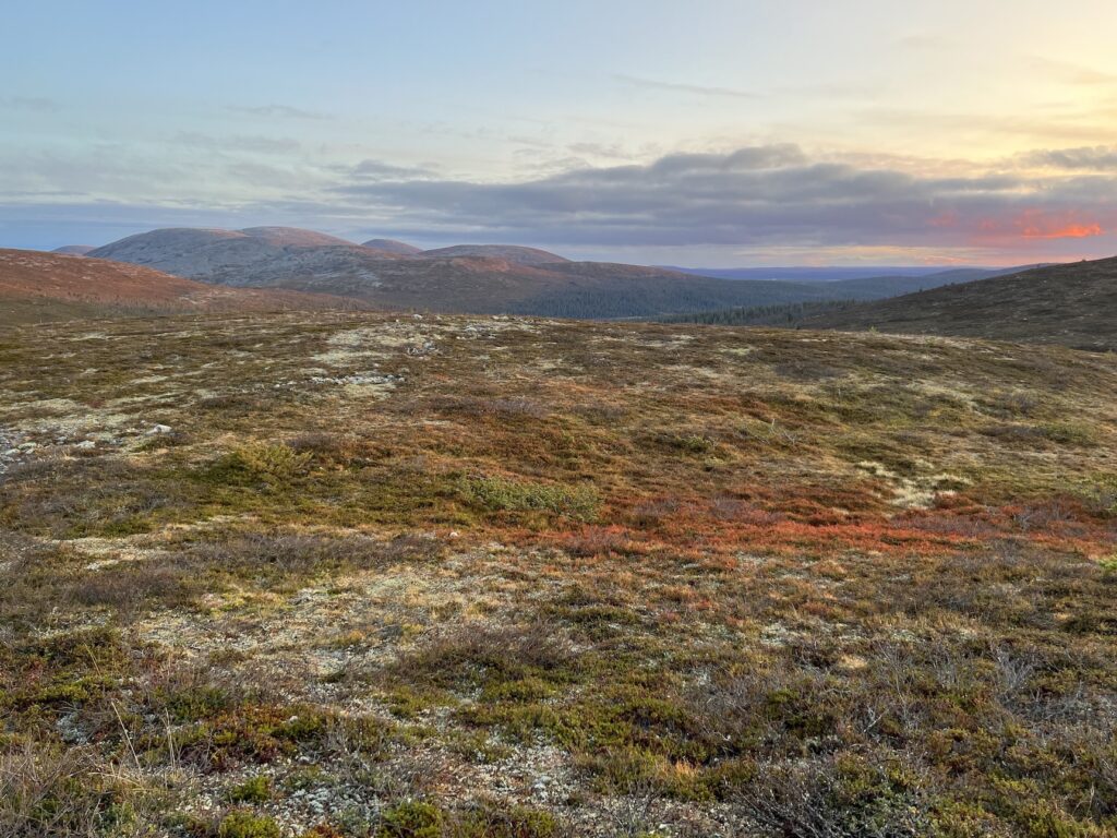 Kutsu syyskokoukseen - Lue lisää